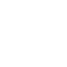 reel icon